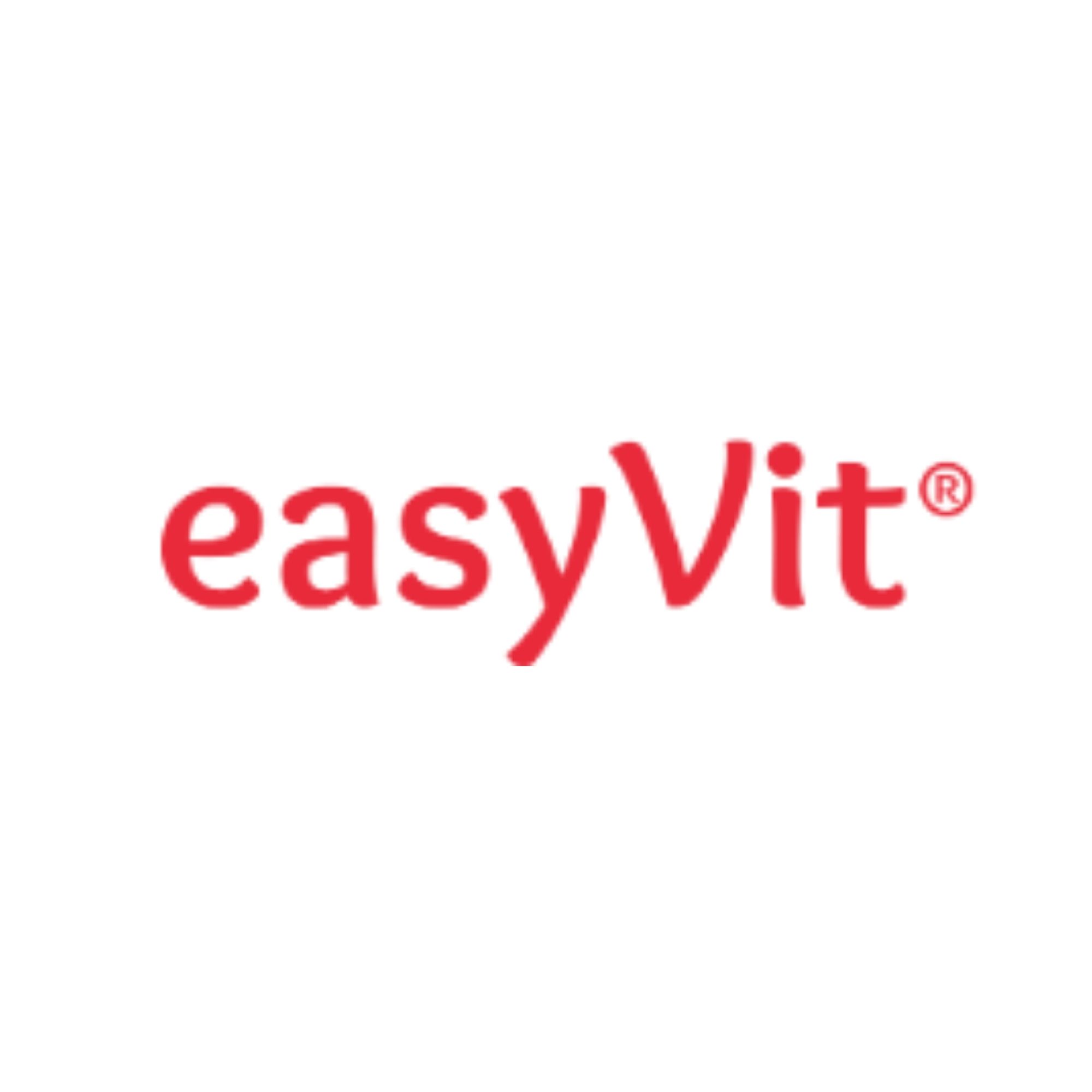 EasyVit