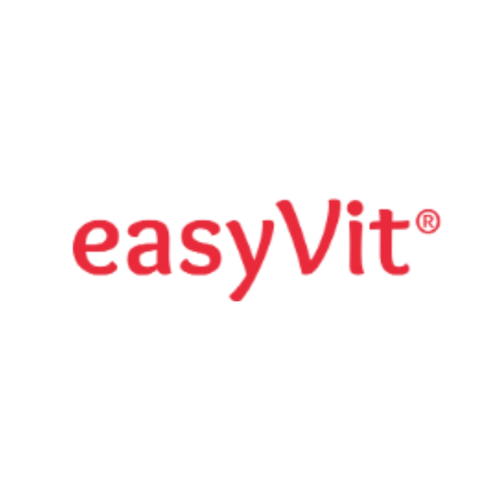 EasyVit