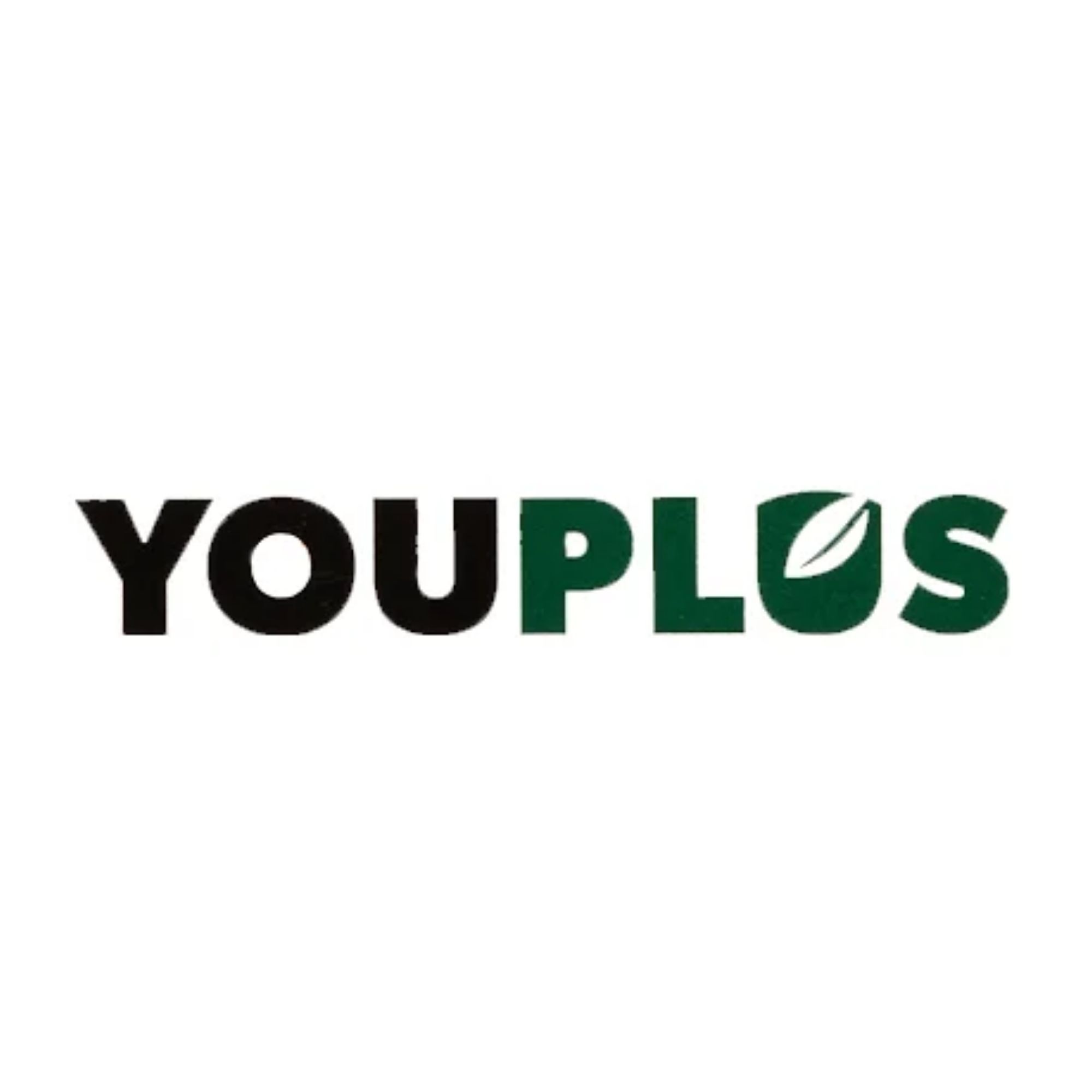Youplus